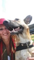 Indy: portret van een dappere ex-zwerfhond