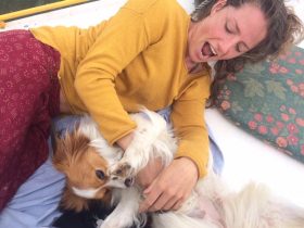 Sitter plays with dog to make departure of owner less stressful