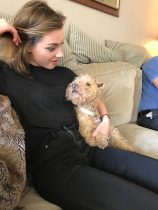 Dog visits sitter's home for the first time