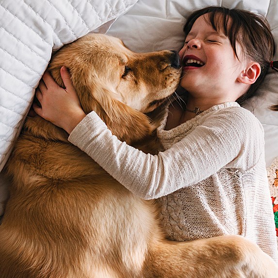 hangen oppervlakkig Port De 10 meest knuffelbare hondenrassen - Petbnb Blog