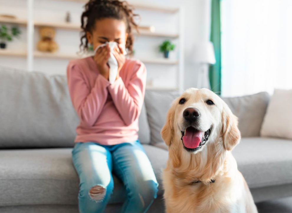Ben ik allergisch voor honden of katten? Petbnb Blog Ben ik allergisch voor honden of katten? Petbnb Blog