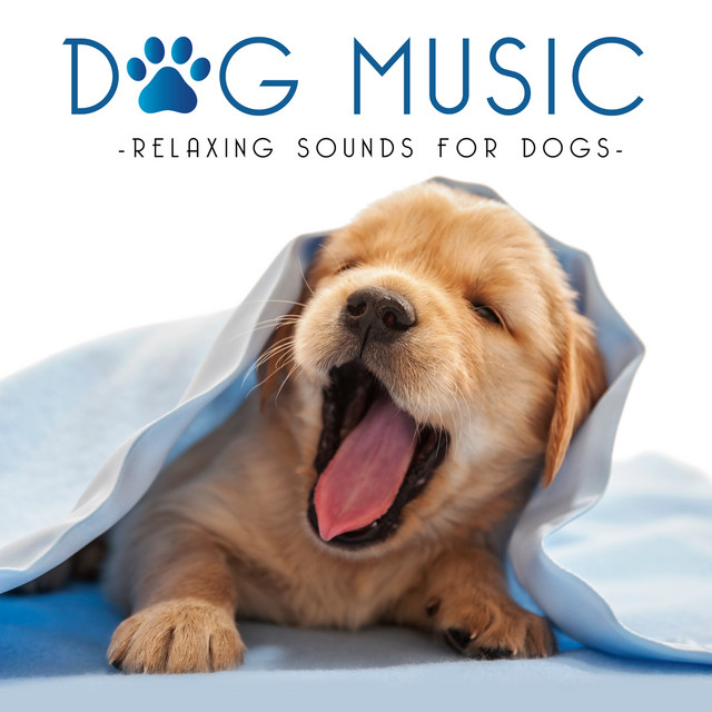 Dog Music - Relaxing Sounds for Dogs - Compilation by Various Artists | Spotify