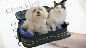 Checklist huisdieroppas